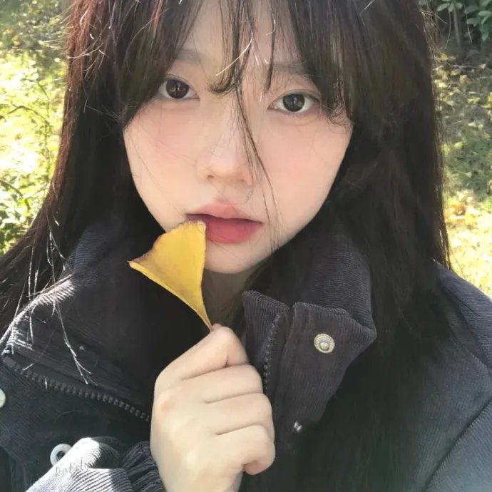副总统
